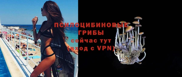 ПСИЛОЦИБИНОВЫЕ ГРИБЫ Кинешма
