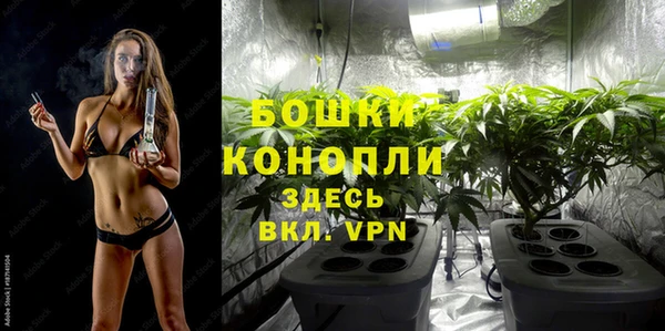 круглые Карпинск