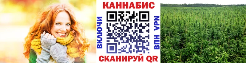 МАРИХУАНА MAZAR  Купить  Калтан 